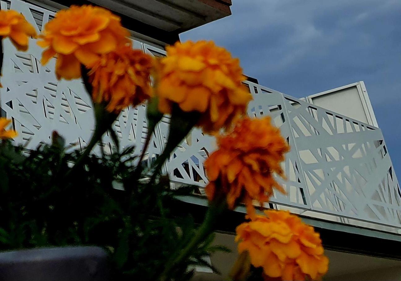 Villa Sunshine Baum Marina Exteriér fotografie